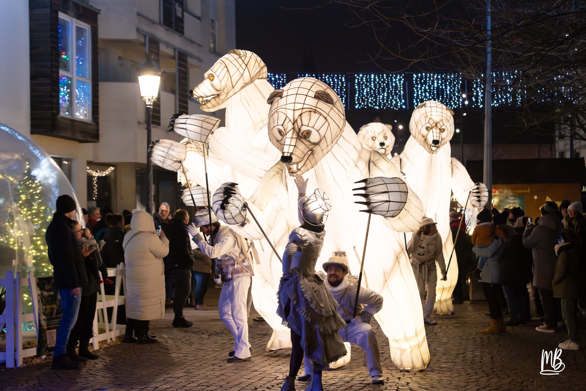 MB2024 CIE REMUE MENAGE(Gueule d'ours) (100 sur 107)